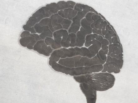 邪修国画教程之“如何画脑花。”
医学生画国画,好歹传下来了,但让歹人传下来了。
#国画 #人体解剖学 #医学生 #大脑 #水墨画