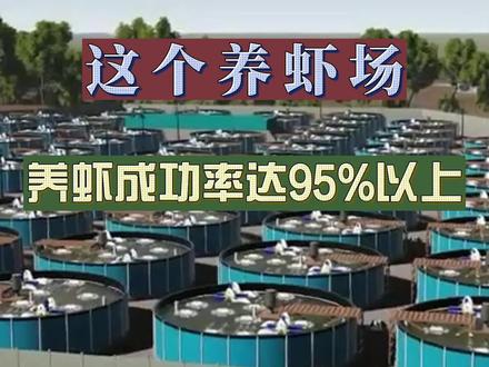 厉害了!养虾场这样设计,养成成功率达95%以上!#养虾 #对虾养殖 #高密度养殖