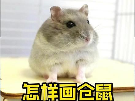 画一只仓鼠 #画画 #刀画 #刀画徐师傅 #画画教程 #零基础学画画