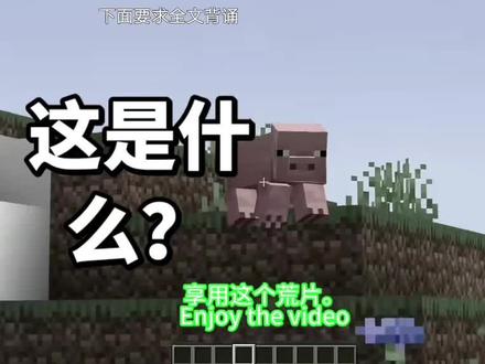 水母还我10万美刀#我是世界