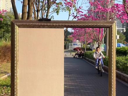 侨香路的紫花粉饰了我爱的暖冬🔥#创意 #隐形画 #紫花风铃木