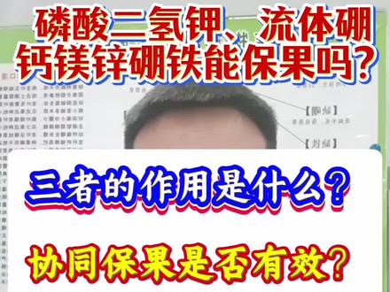 磷酸二氢钾,流体硼和钙镁锌硼铁,这些可以促进保果吗?#农业 #农业种植 #保果 #果树管理 #分享农业知识帮农民增产增收