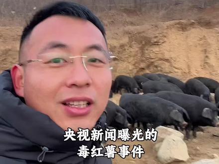 这到底是怎么了!#这到底是怎么了#黑猪肉 #生态放养 #就想说点大实话