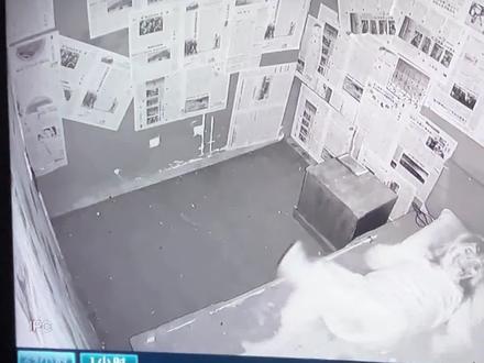 玩真人密室逃脱 男子错把NPC当女生轻吻