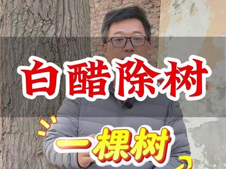 白醋除树! 房前屋后这些碍事的大树、杂竹子、芦苇、杂灌,只需要沿着根部撒一撒,死根烂根3米深!#除大树 #除竹子 #除树烂根 #白醋除树