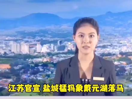 江苏官宣:盐城猛犸象戴元湖落马。