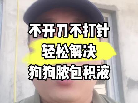 狗狗打针,磕碰,撕咬出来的大脓包!烦不烦?各种治疗,开刀放脓,针头排脓!治标不治本!今天,压箱底的绝活儿,免费分享给你们了,记得双击收藏!
#周可爱的卡斯罗 #周可爱的阿童牧 #养狗知识问答