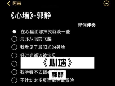 好时光都该被宝贝 因为有限#心墙 #伴奏 #合拍