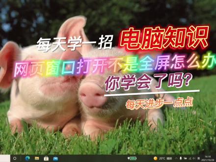 网页打开不是全屏怎么办?