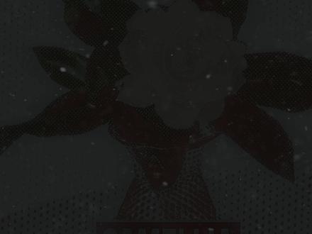 他在思念什么 每日每夜 是随风飘走的落叶 #topbarry #airap#茶花开了该回家了