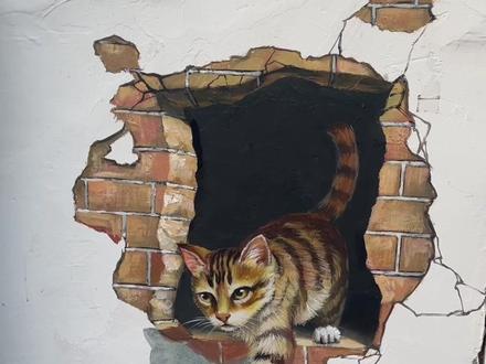 你的童年里有没有一只狸花猫?#墙绘 #萌宠出道计划 #绘制过程 #小猫 #墙体彩绘