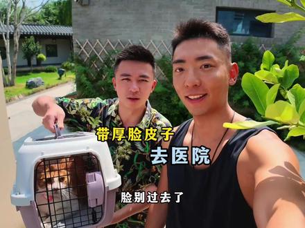 一转眼,收养厚脸皮子已经4年了~ #猫咪小院 #小锋小志 #猫咪小院的日常