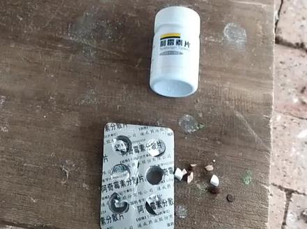 鸽子毛滴虫,口黄,念珠菌霉菌