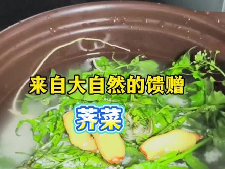 你们那边有没有荠菜 这个荠菜粥一定要去试试#荠菜 #荠菜的神仙吃法 #荠菜长啥样