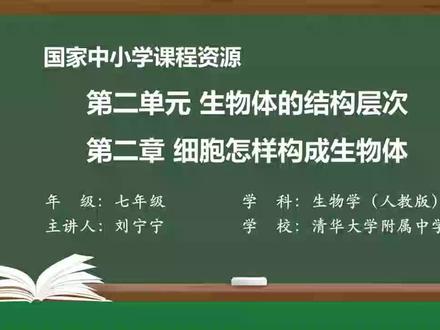2.2.1 细胞通过分裂产生新细胞#细胞通过分裂产生新细胞 #七年级生物