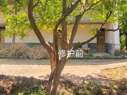 换种方式看看 会是什么效果