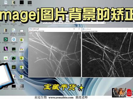 imagej图片背景的矫正