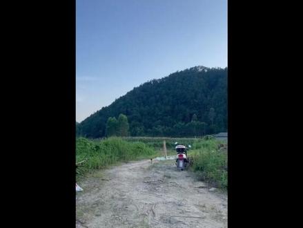 唰!贺州荣怀高中科技节特等奖作品展示~