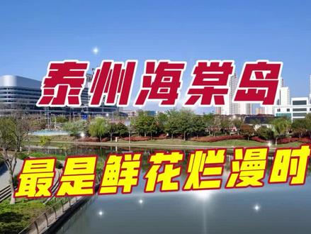 泰州海棠岛,一千多株海棠树花开满枝,花中仙子之称果然名不虚传 #宜居城市#我的城市由我拍#城市公园#城市美景