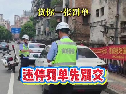 违停罚单先别交,这样操作可以撤销! #汽车知识 #行车安全 #每天一个汽车知识
