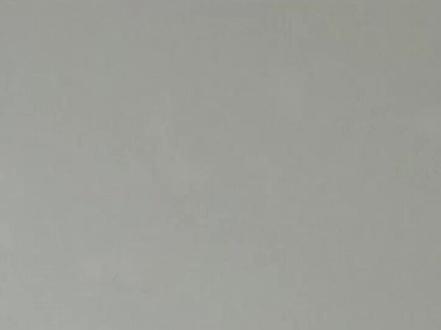 天塌了,老虎打不过馒头!#二战#装甲纷争