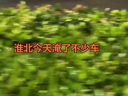淮北下雨太大了,路上水太深了 #淮北#暴雨#车泡水了