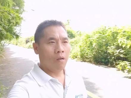 杭州美丽乡村生活