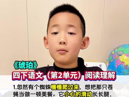 四年级下册语文(第2单元)《琥珀》#阅读理解#知识点总结#四下语文#考试重点