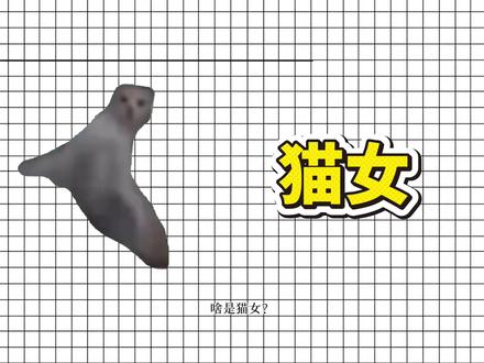 小猫大科普之啥是猫女?#猫女 #小猫大学习 #猫meme #兽识者 #网络热词