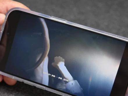 生化危机8ios版上架 A17Pro芯片的 iPhone15 Pro以上系列可以玩3A游戏#生化危机8#游戏 #iphone15pro