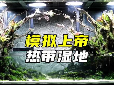 一口气看完超大型热带湿地生态系统#上帝模拟器 #生态缸 #减速带 #养鱼日记 #瓜子二手车