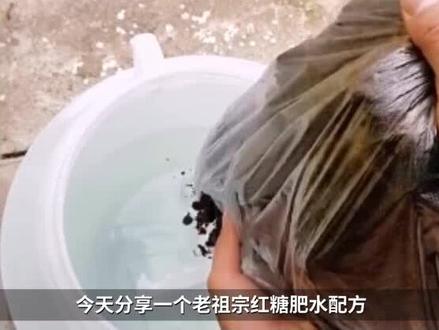 老祖宗红糖肥水配方!一斤红糖顶一桶氨基酸肥水膏#养虾人 #南美白对虾 #肥水 #红糖 #水产养殖