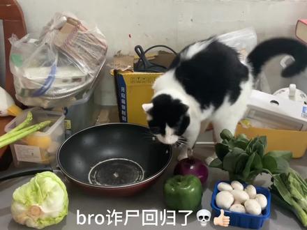 意面就是随意制作的面💀👍🏻 ( 青 椒 意 面 )#安黛因教你做饭 #黑暗料理