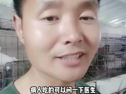 鸽子不是每个人都能吃
鸽子虽好 不宜多吃