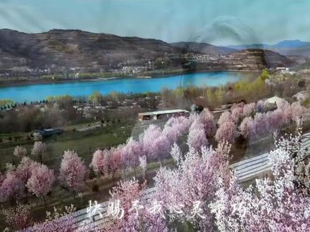 沿着长江寻远方,叹我华夏藏陇乾坤万象 #康养圣地 #安奕安新歌渡心行 #国风古韵 #抖音热歌 #甘肃陇南