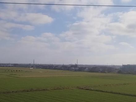 上海到盐城第10段,上海的大丰,苏北人用50年改良出来的农田!#盐城 #盐城大丰 #大丰 #江苏 #苏北农村 #苏北 #我要做爆款 #云游四海