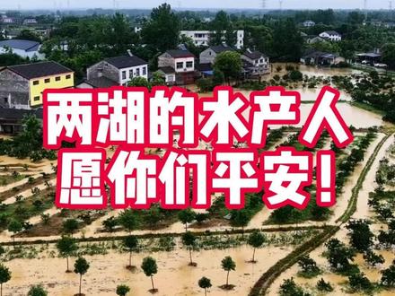 两湖的水产人愿你们平安 一场暴雨毁了养殖人一年的心血,近期湖北荆州、湖南石门等地遭遇极端强降雨,多地鱼塘虾塘被淹损失惨重,两湖的水产人愿你们平安!#湖北 #荆州 #降雨 #水产人 #愿平安