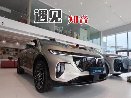 遇见知音,20万华系纯电SUV选它,没毛病 @岚图汽车 #20万华系纯电就选知音