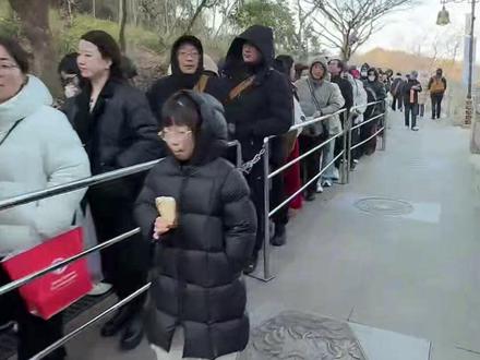 大年初二,普陀山善财洞排长龙,
哈哈,求财路上果然最拥挤#普陀山#善财洞