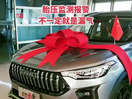 哈弗赤兔胎压监测报警灯亮了怎么办?#抖音汽车人共创计划 #长城哈弗汽车 #每天一个用车知识