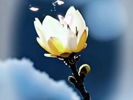 立春模板
一键剪同款#立春 #一键剪同款