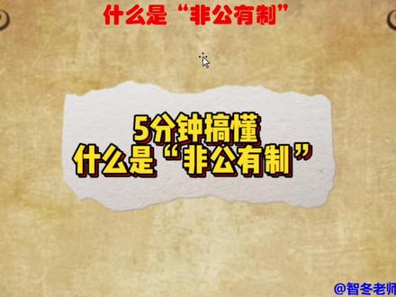 5分钟搞懂什么是“非公有制”!非公有制经济到底是什么?历程!#智冬老师讲政治 #非公有制经济 #政治 #每天跟我涨知识 #经济发展