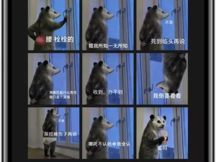 负鼠表情包来啦 负鼠上班表情包 负鼠文字修改 #负鼠表情包 #表情包 负鼠表情包 可爱表情包 负鼠受委屈 负鼠表情包获取教程 #剪映 #可爱表情包 一起来收集各种负鼠表情包 负鼠可爱表情包