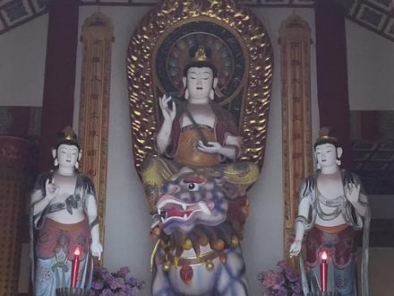 2023年5月22日,农历四月初四,
是佛教四大菩萨之一文殊菩萨圣诞吉日。
恰逢中考、高考即将到来,供奉“文殊智慧灯”,"升学智慧普佛”。祈祷广大学子在中考、高考时得文殊菩萨加持:
开启智慧,破除烦恼,头脑清醒,下笔有神,学业有成,金榜题名
南无大智文殊师利菩萨🙏🙏🙏