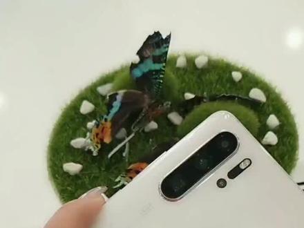 华为手机无法开机解决方法,遇到这种问题一级即可解决~#华为!喜欢的宝宝点击收藏吧!