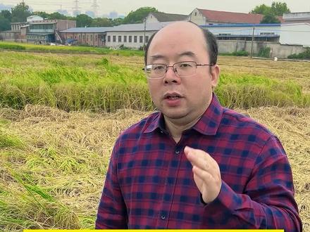 居然现在还有很多人用吡虫啉啶虫脒噻虫嗪来预防稻飞虱,不爆发才怪#稻飞虱#噻虫嗪#啶虫脒#吡虫啉#农技#水稻@抖音小助手