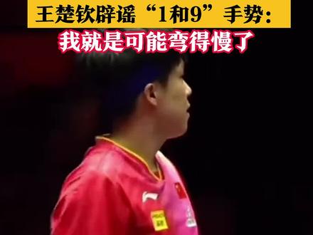 “历史都被篡改了”,王楚钦辟谣“1和9”手势:我就是可能弯得慢了