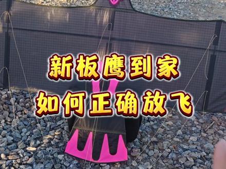 新板鹰风筝到家如何正确放飞 #风筝 #放风筝 #一起放风筝 #明哥是个犟种 #纯纯新手放风筝掰饽饽说馅教程