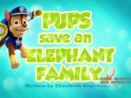 第二季013集,第一部分上篇 #汪汪队立大功