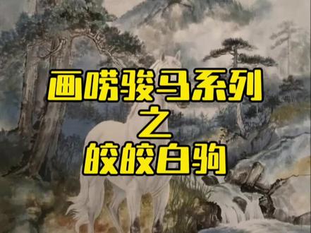 画唠骏马系列——皎皎白驹#马#画马#马年画马#国画马